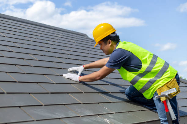 Best Roof Gutter Cleaning  in Emmetsburg, IA