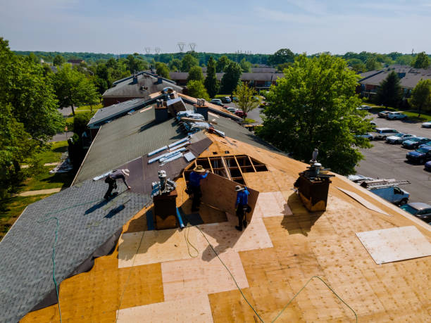 Best Metal Roofing Contractor  in Emmetsburg, IA