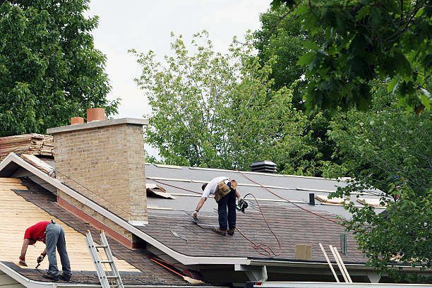Best Affordable Roofing Company  in Emmetsburg, IA