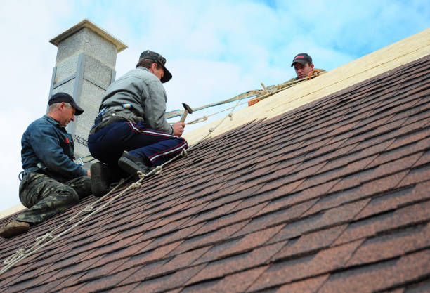 Best Emergency Roof Repair  in Emmetsburg, IA