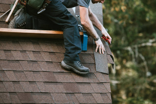 Best Storm Damage Roof Repair  in Emmetsburg, IA